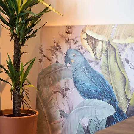 The Blue Parrot Apartment Porto